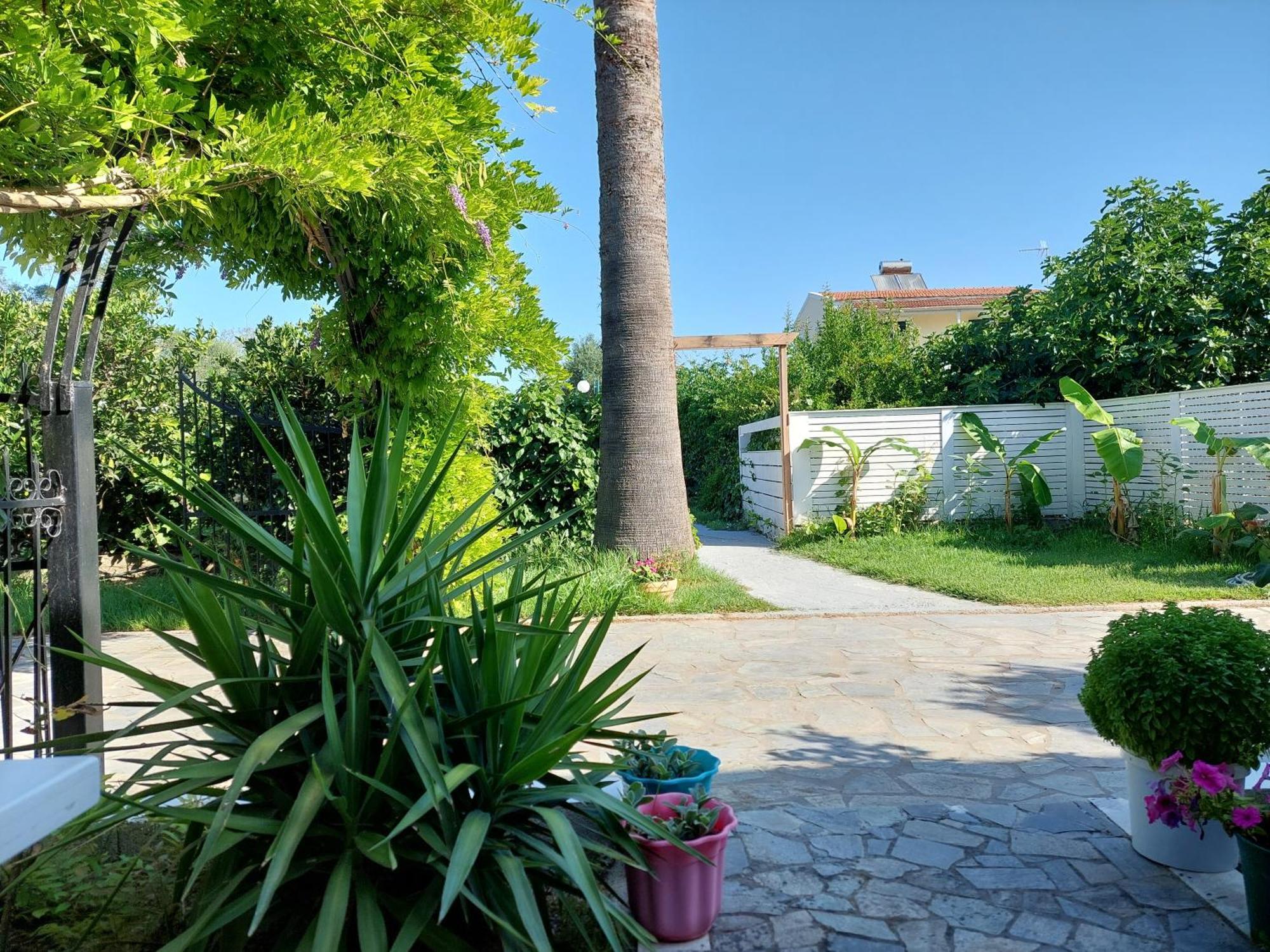 Amelia'S Garden Aparthotel Kavos Exterior photo